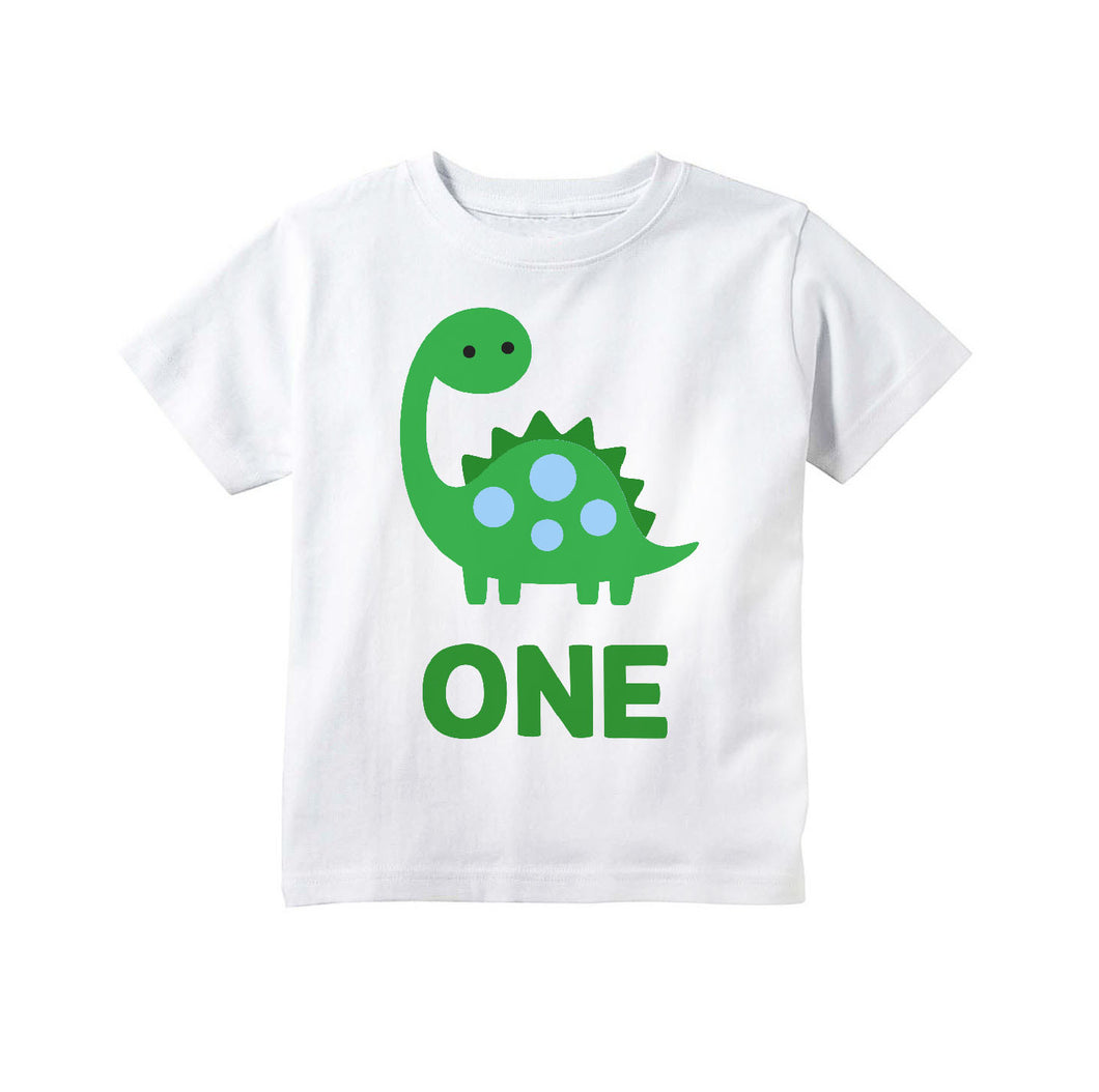 Dinosaur Birthday Shirt One 1st First Birthday Shirt Outfit for Boys